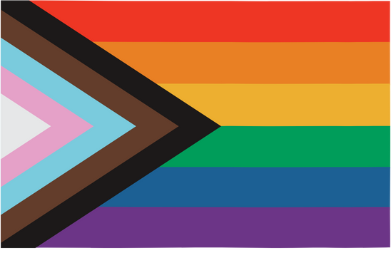 Progress Pride Flag: Includes explicit transgender representation with rainbow flag